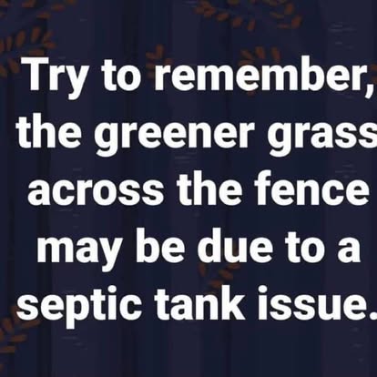 206541762_1646099518908946_2462736716759166025_n