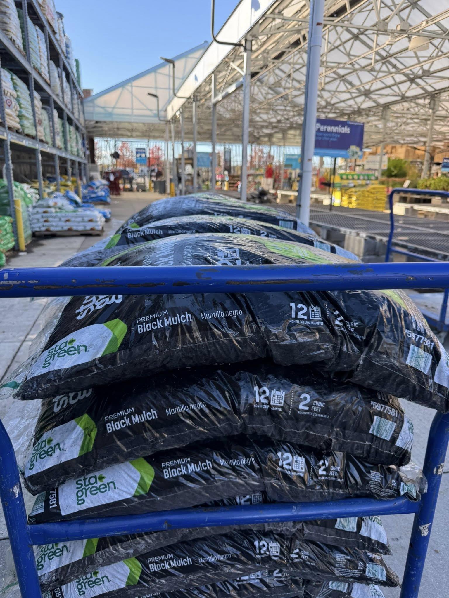 566205214_1253991216747942_59853723413296652_n